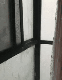 1590219770135360.gif 微信圖片_20200523153410.gif